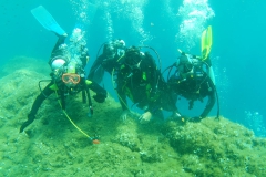 Elba_mag_25_16_800