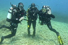Elba_mag_25_24_800