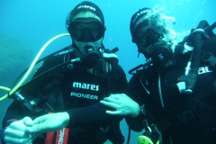 Elba_mag_25_84_800
