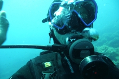 Elba_mag_25_87_800
