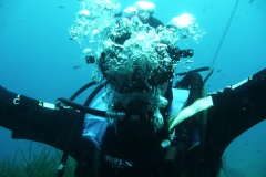 Elba_mag_25_88_800
